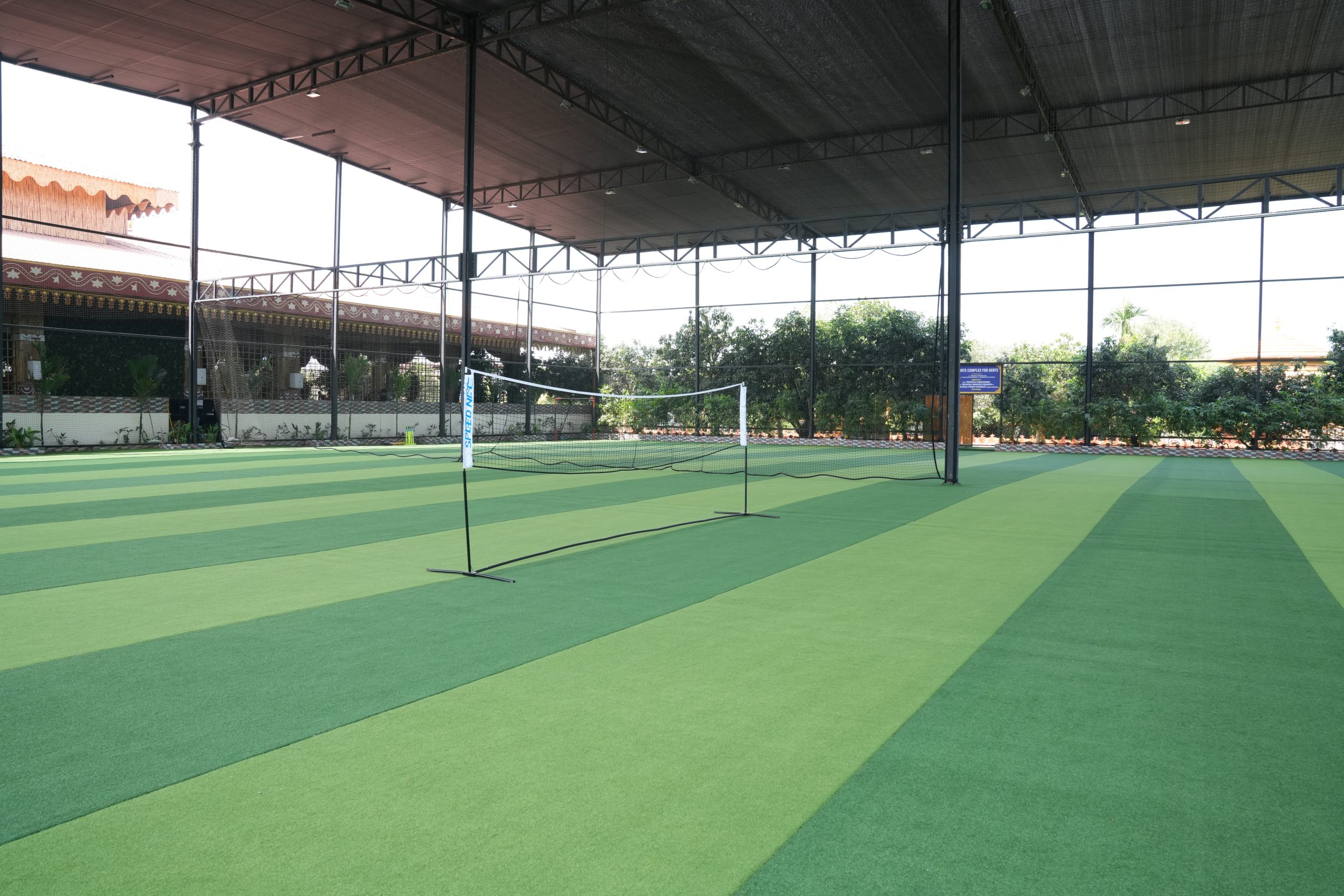 Cricket match on a green lawn