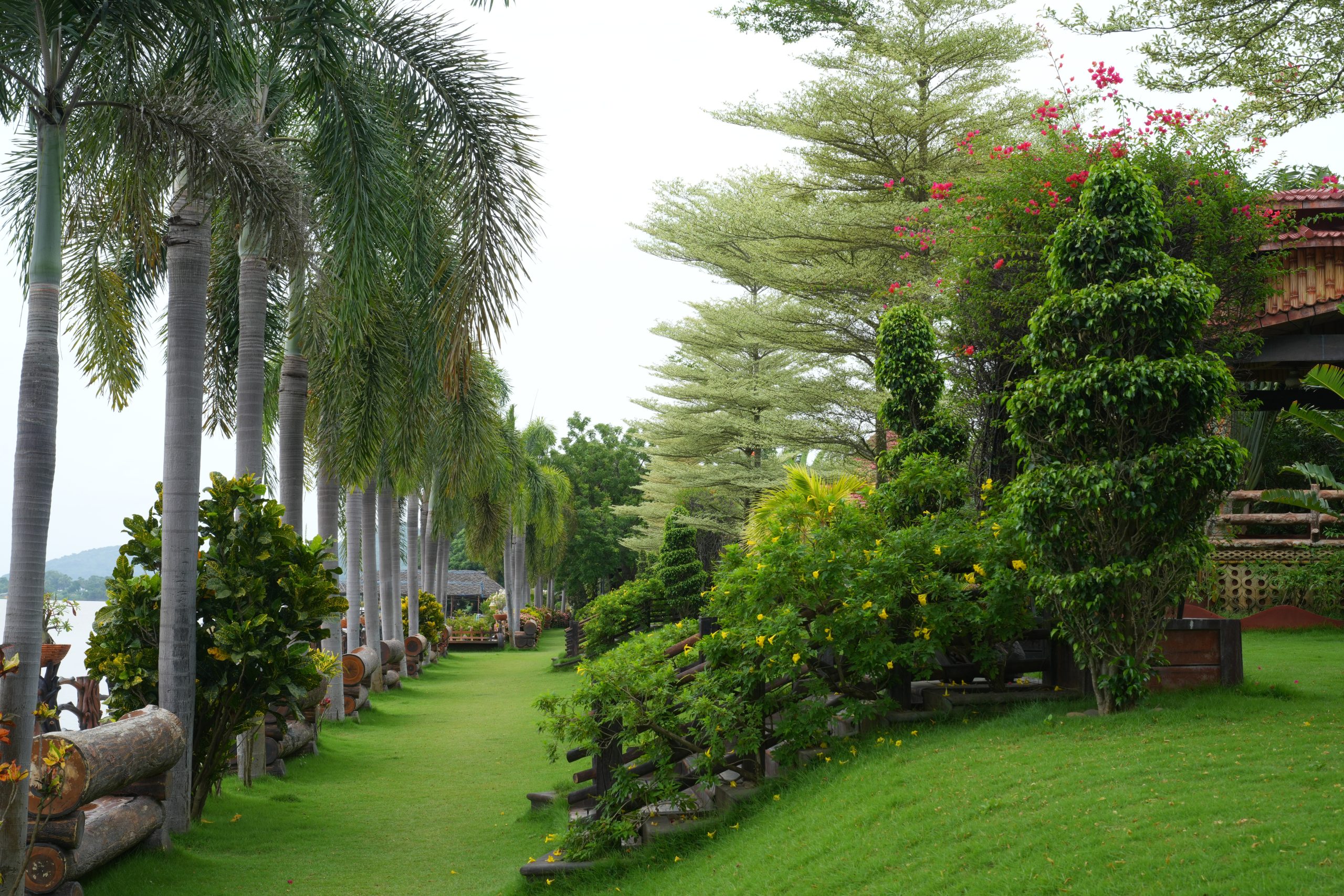 Peaceful surroundings