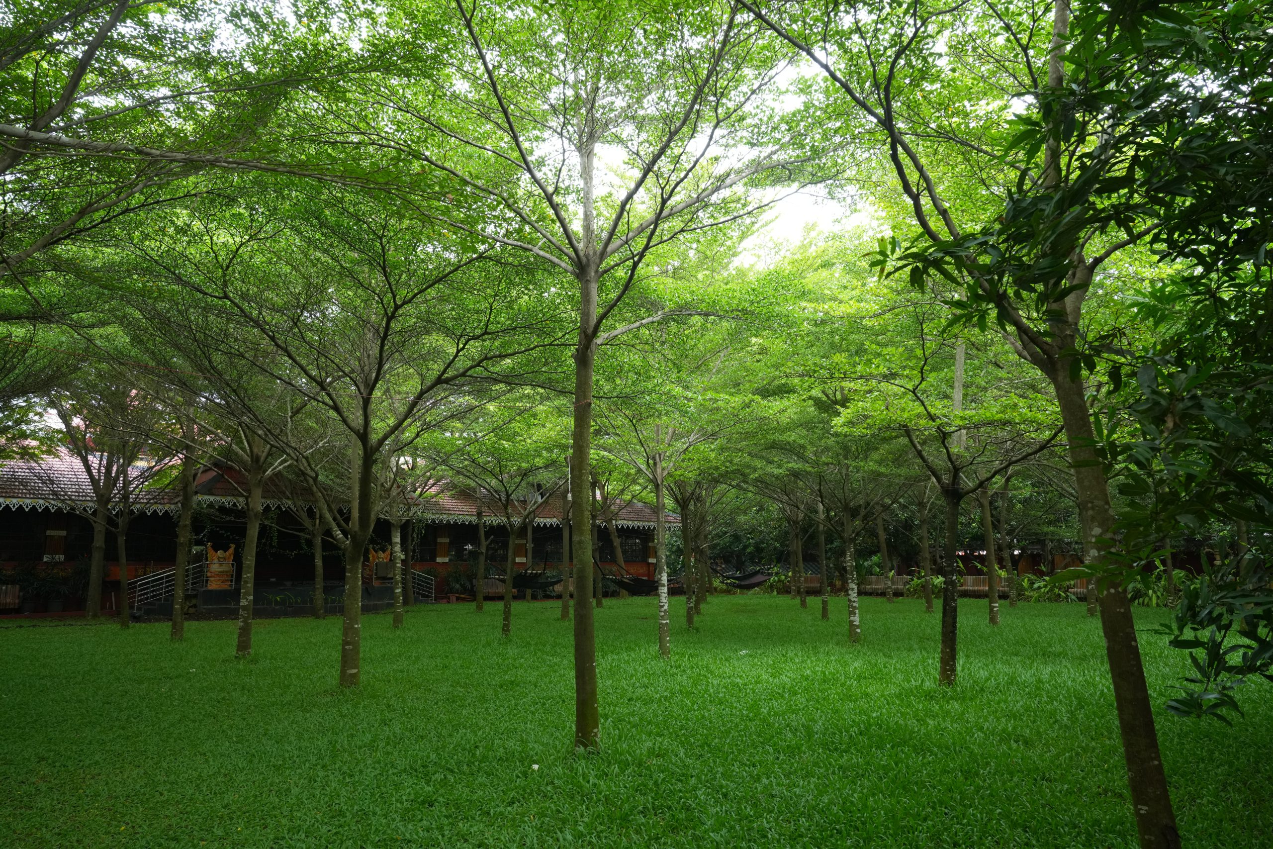 Naturopathy garden